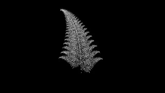 The attractor_fernmono preset, drawn with the attractor system