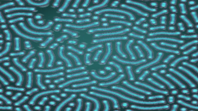 The reaction_mitosis preset, drawn with the reaction_diffusion system