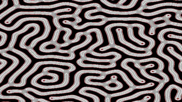 The reaction_spotmono preset, drawn with the reaction_diffusion system
